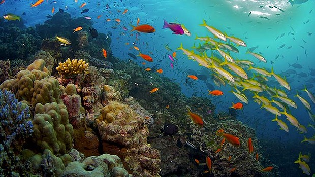 Great Barrier Reef