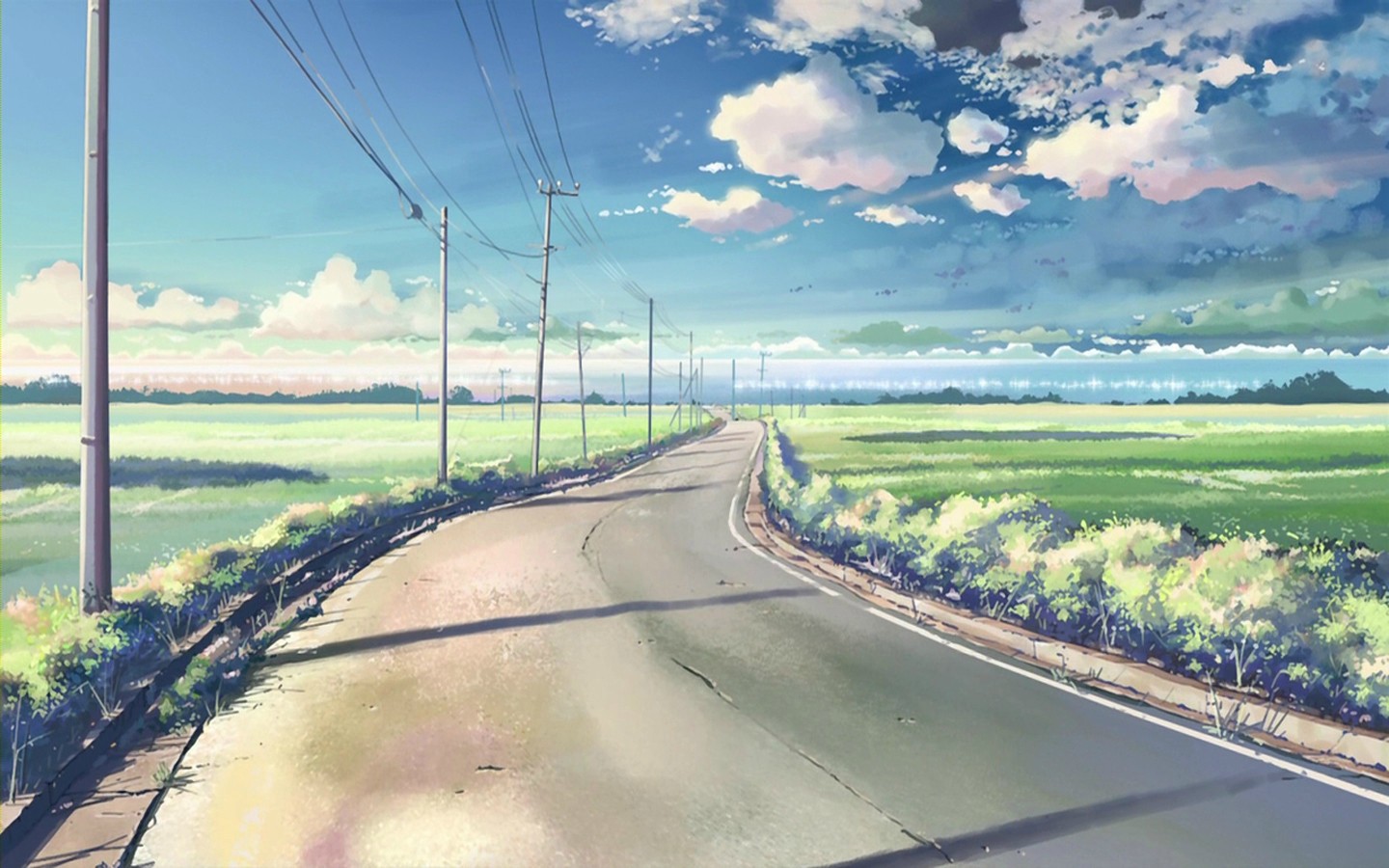 a_road_with_power_lines_and_grass_fields