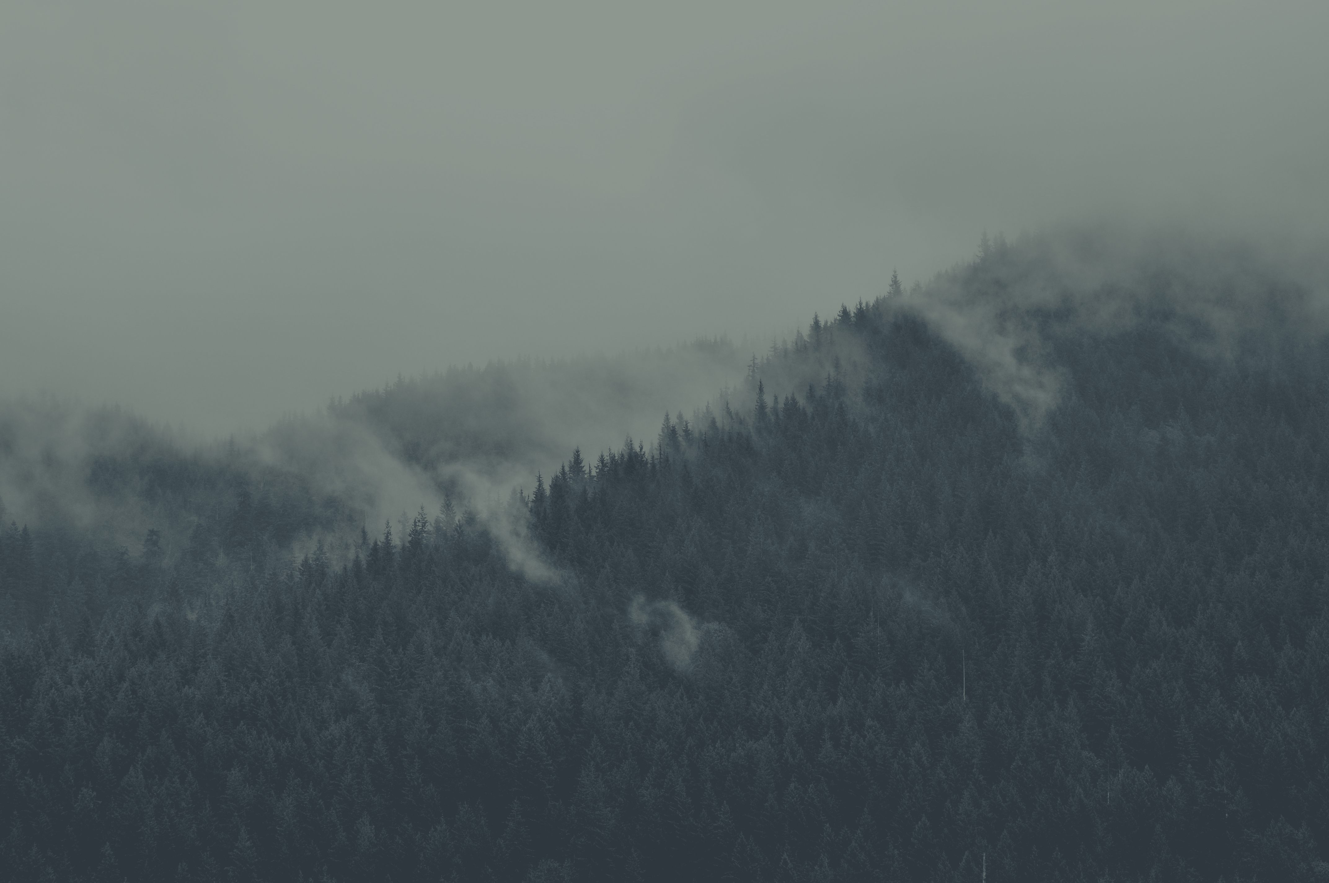 a_foggy_mountain_with_trees