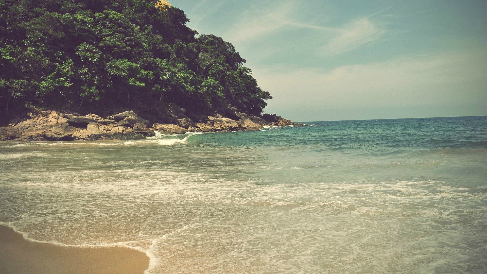 a_beach_with_trees_on_the_side