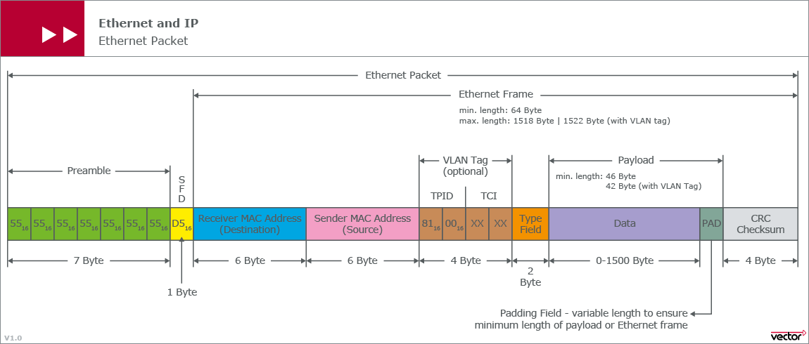 VLAN Header