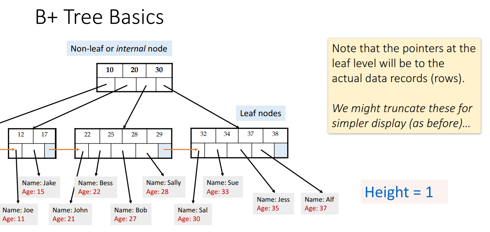 B+ TreeBasics