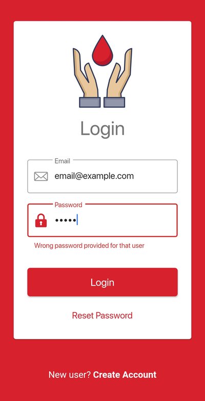 04 - Login error