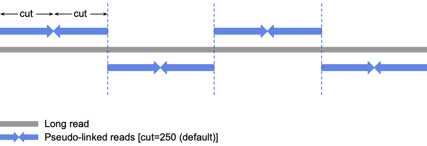 Pseudo-linked read simulation