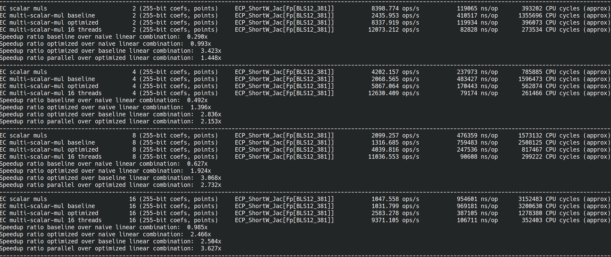 BLS12-381 Multi-Scalar multiplication 1