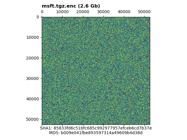 Visualization of msft.tgz.enc