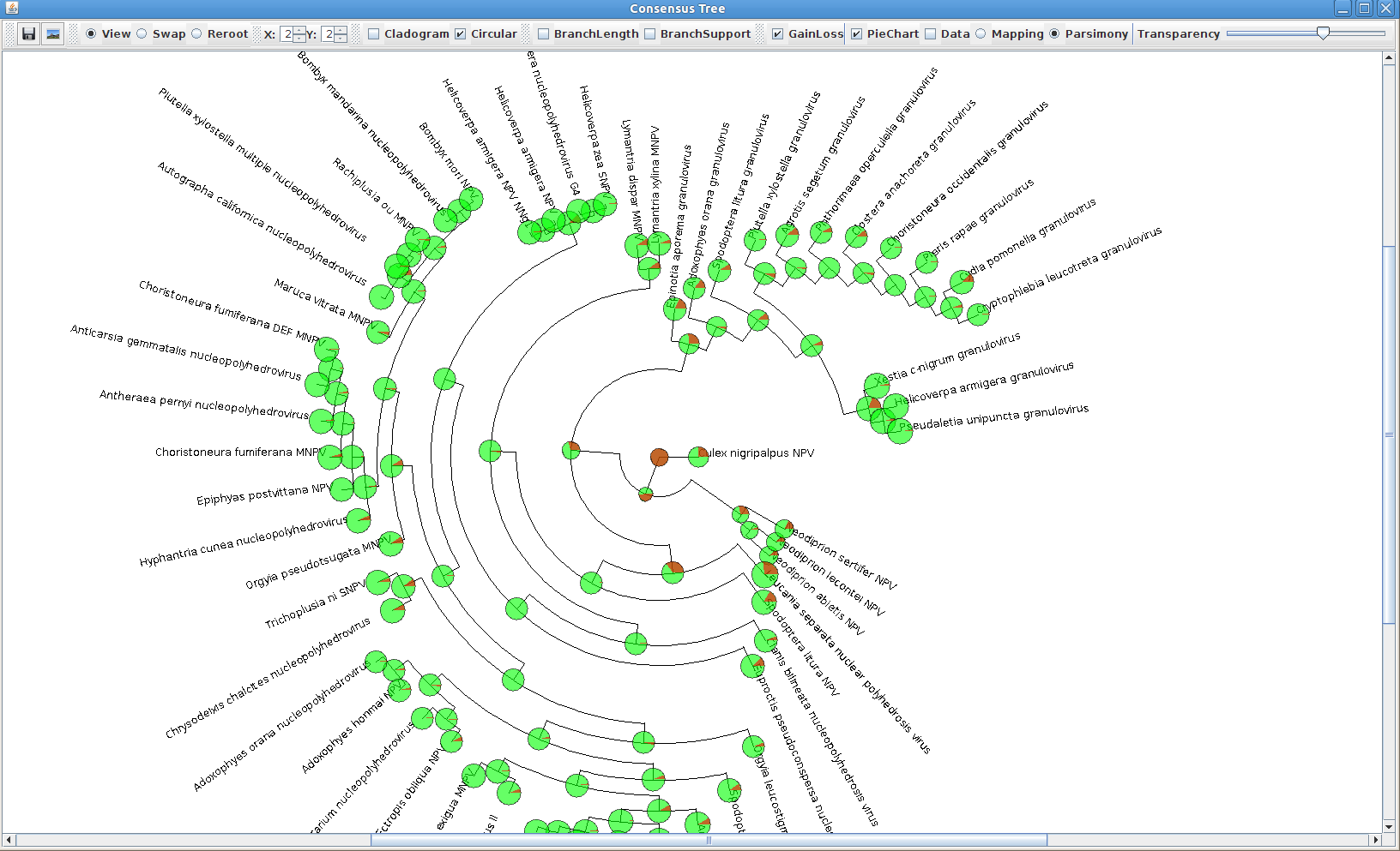 Screen shot of tree window