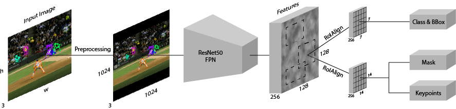 Model Overview