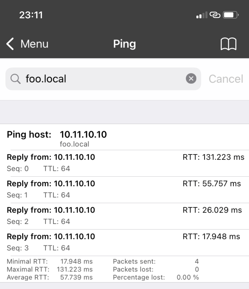 ping with iPhone via Bluetooth PAN