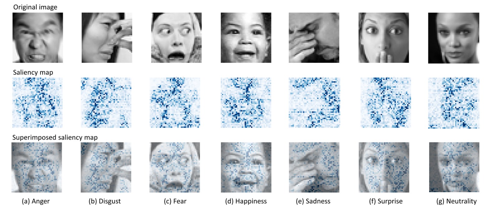 Saliency Maps