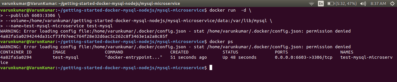 Running the docker image