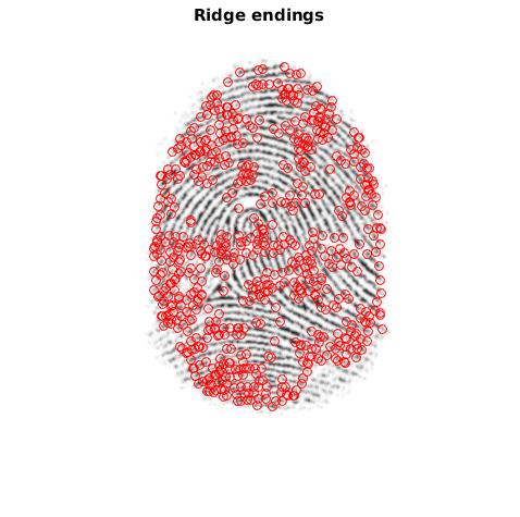 Ridge Endings