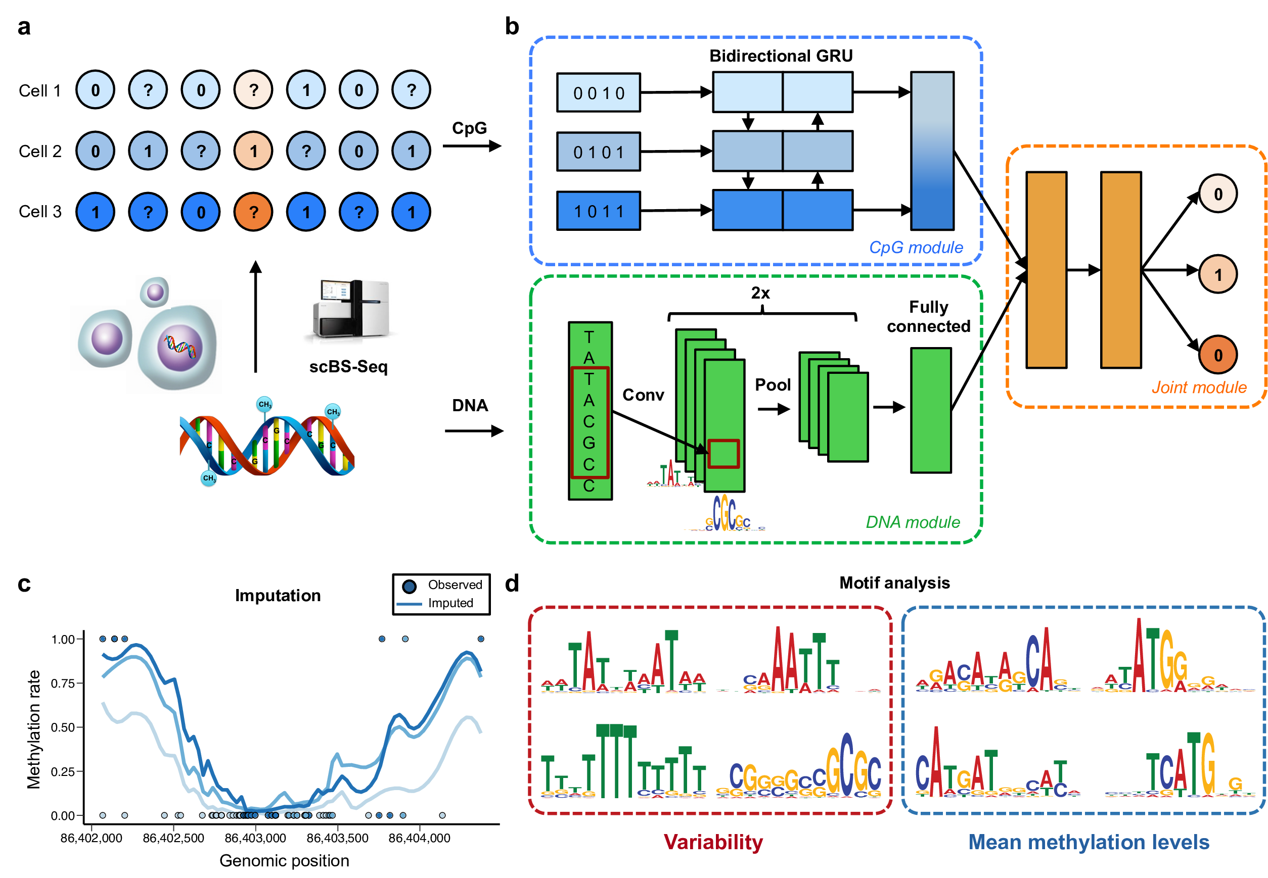 DeepCpG model architecture and applications