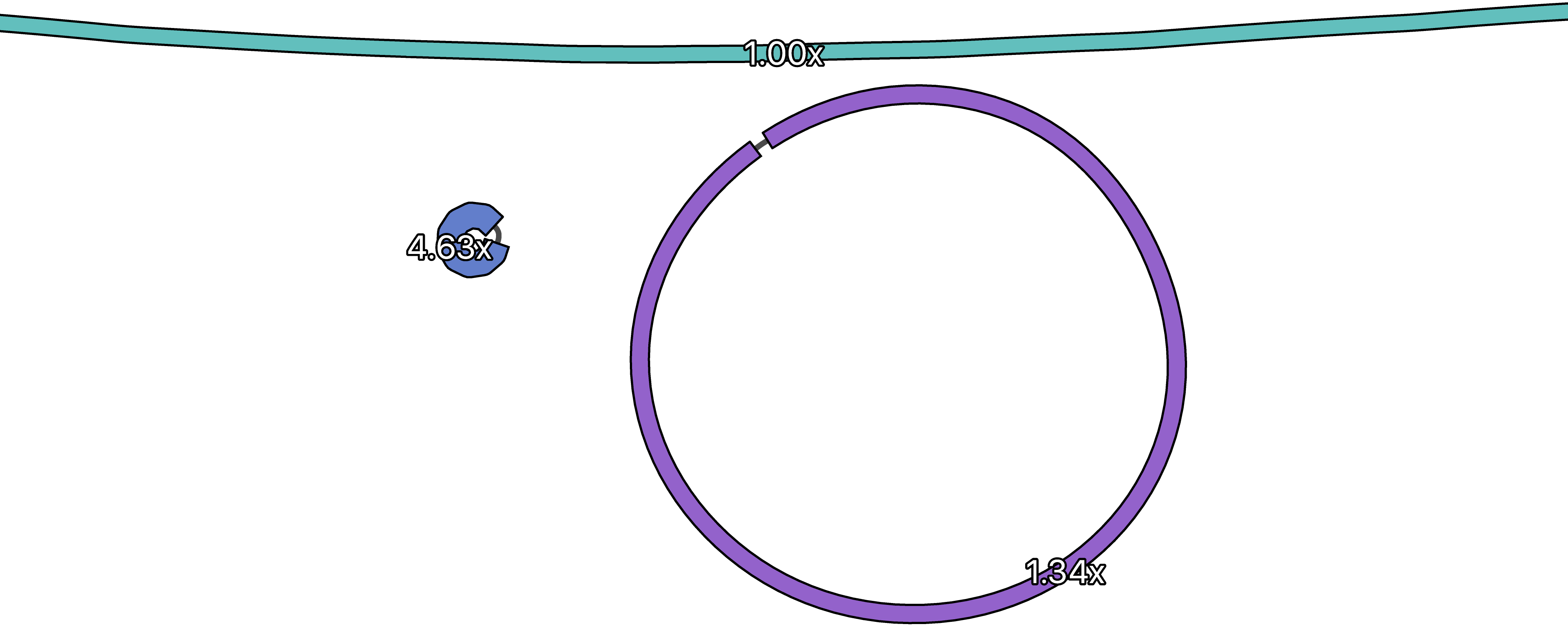 Plasmid depths