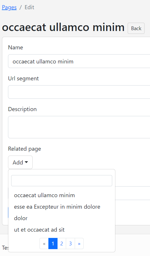 Screenshot of how Cloudy scaffolds previously mentioned model, showing URL segment that will be used for routing