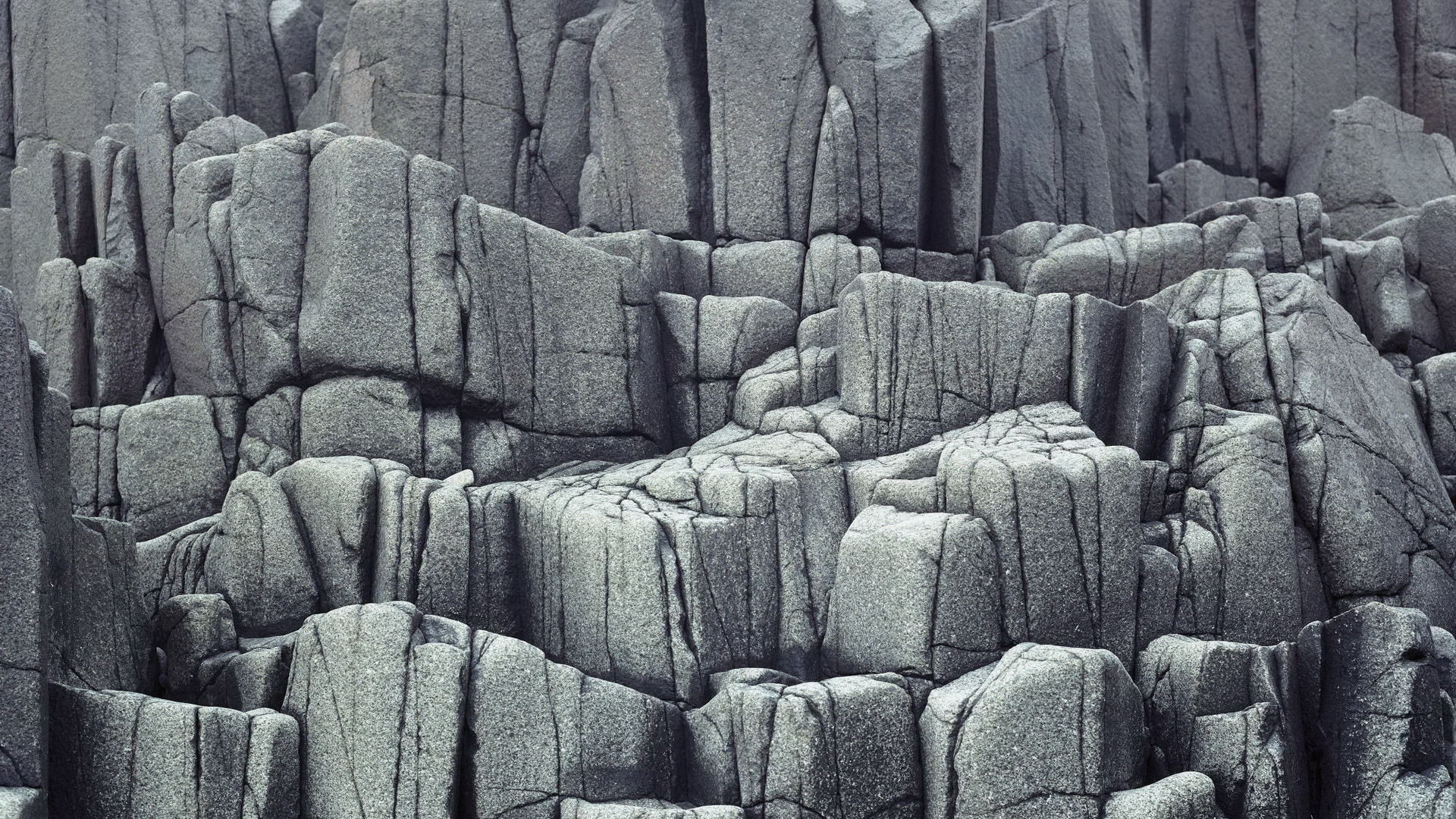 a_close-up_of_a_rocky_area