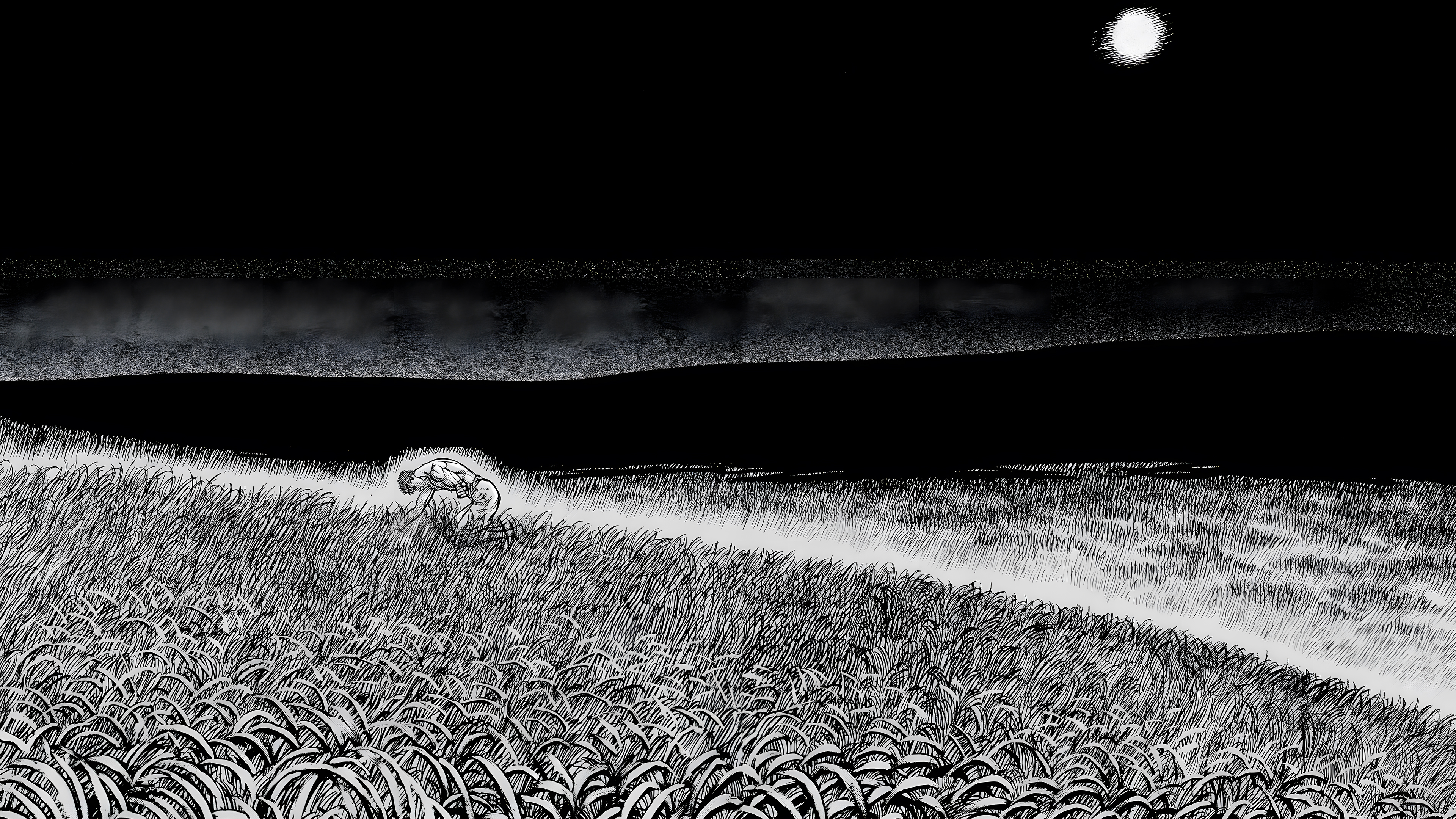 a_field_of_grass_at_night