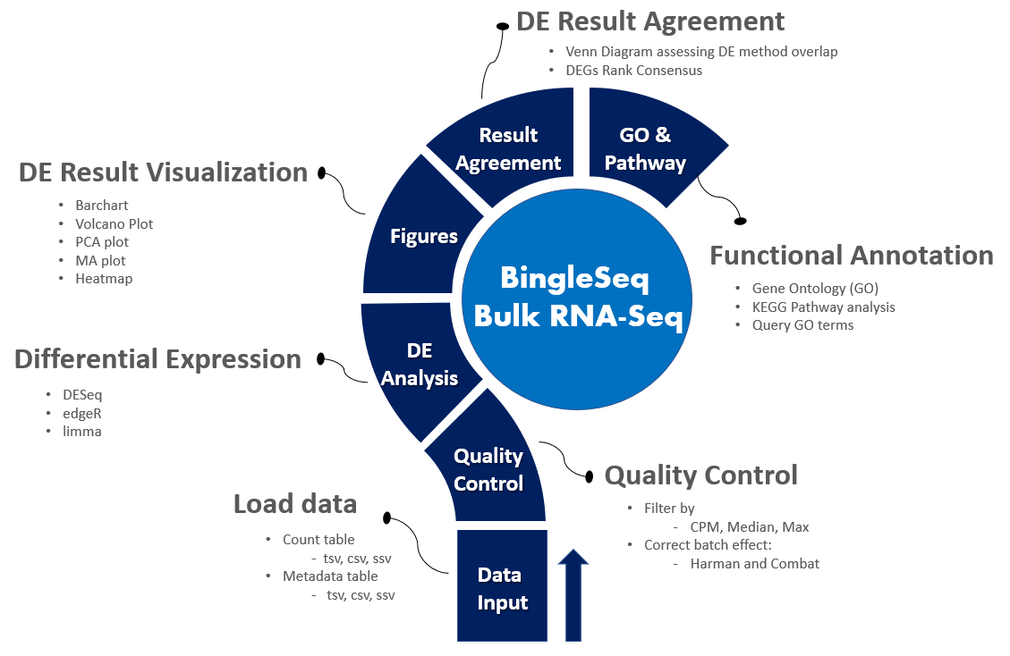 BingleSeq Bulk RNA-Seq pipeline