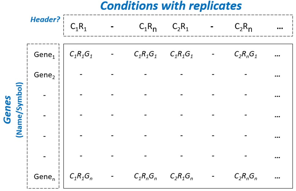 BingleSeq Bulk RNA-Seq format