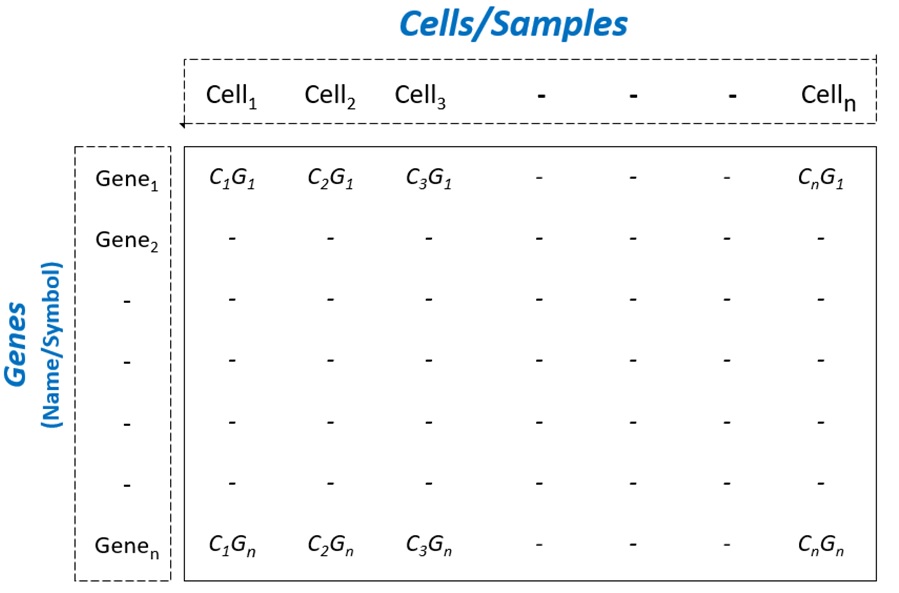 BingleSeq Bulk RNA-Seq format