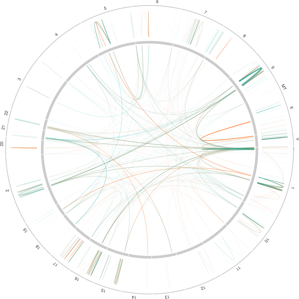 A map of the Human genome long segmental duplications