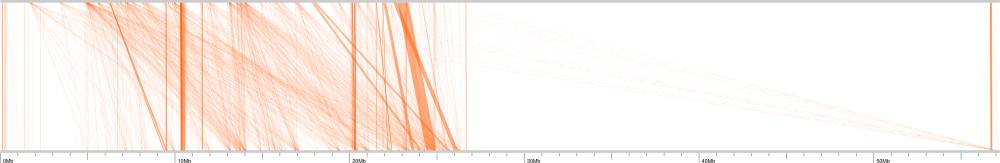 Chord plot example