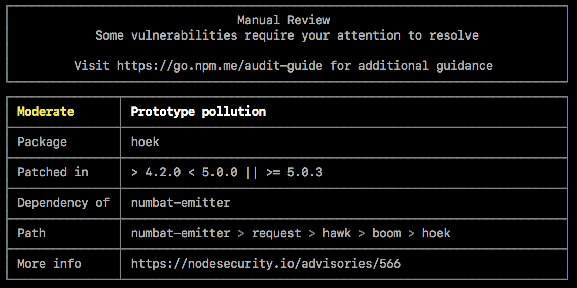 npm audit example