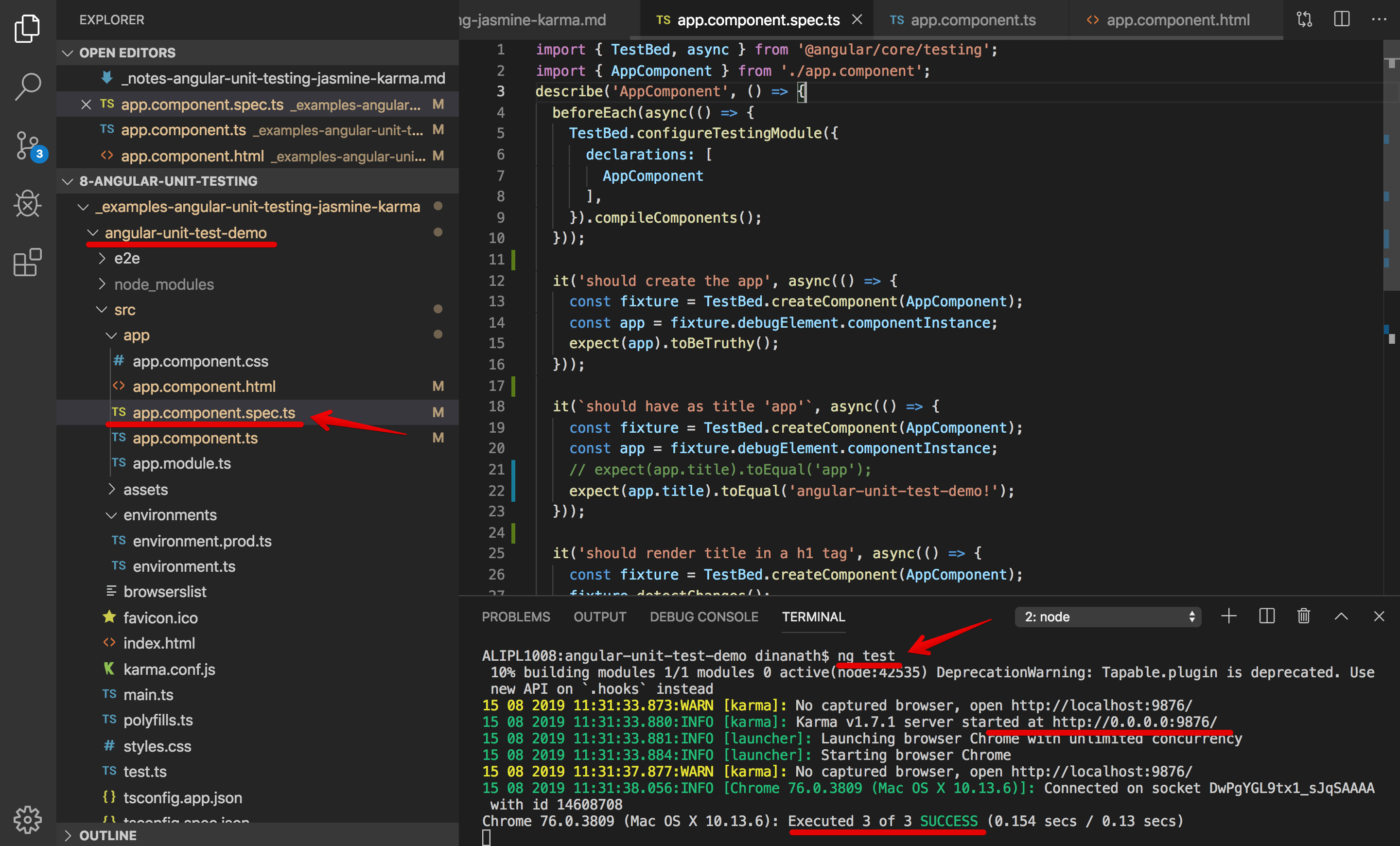 Executing ng test command