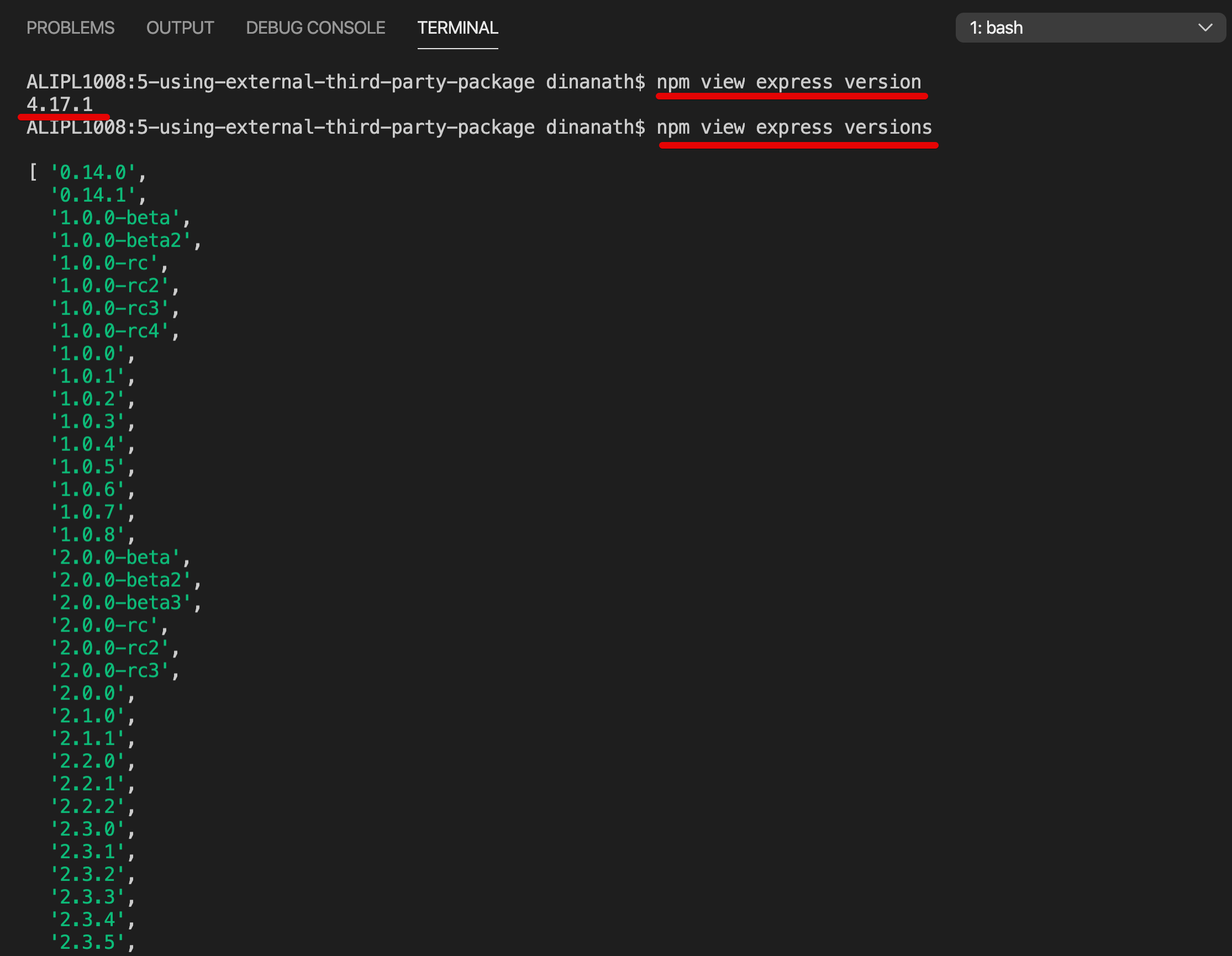 Package Metadata Versions Details Info