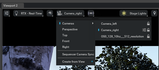 Viewport Camera