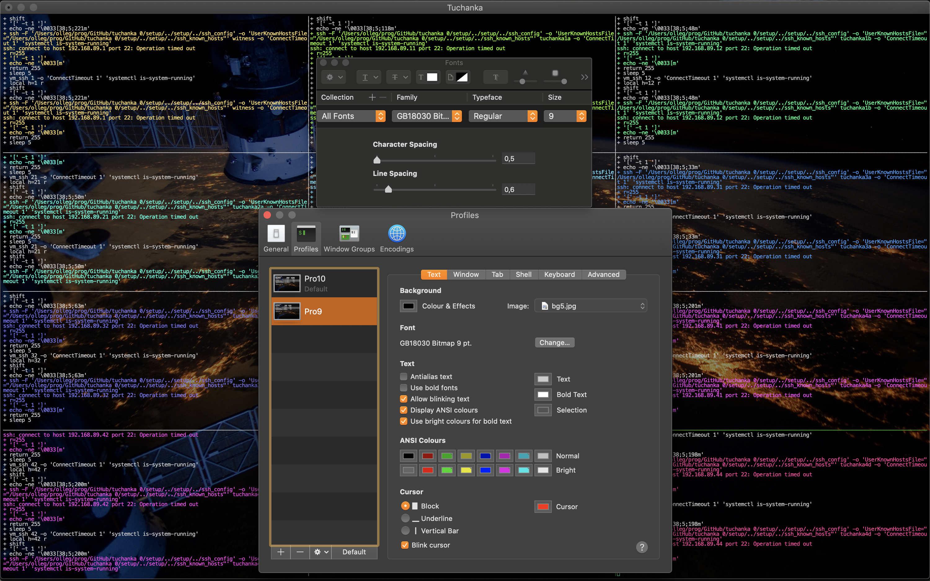 screenshot of a terminal setup