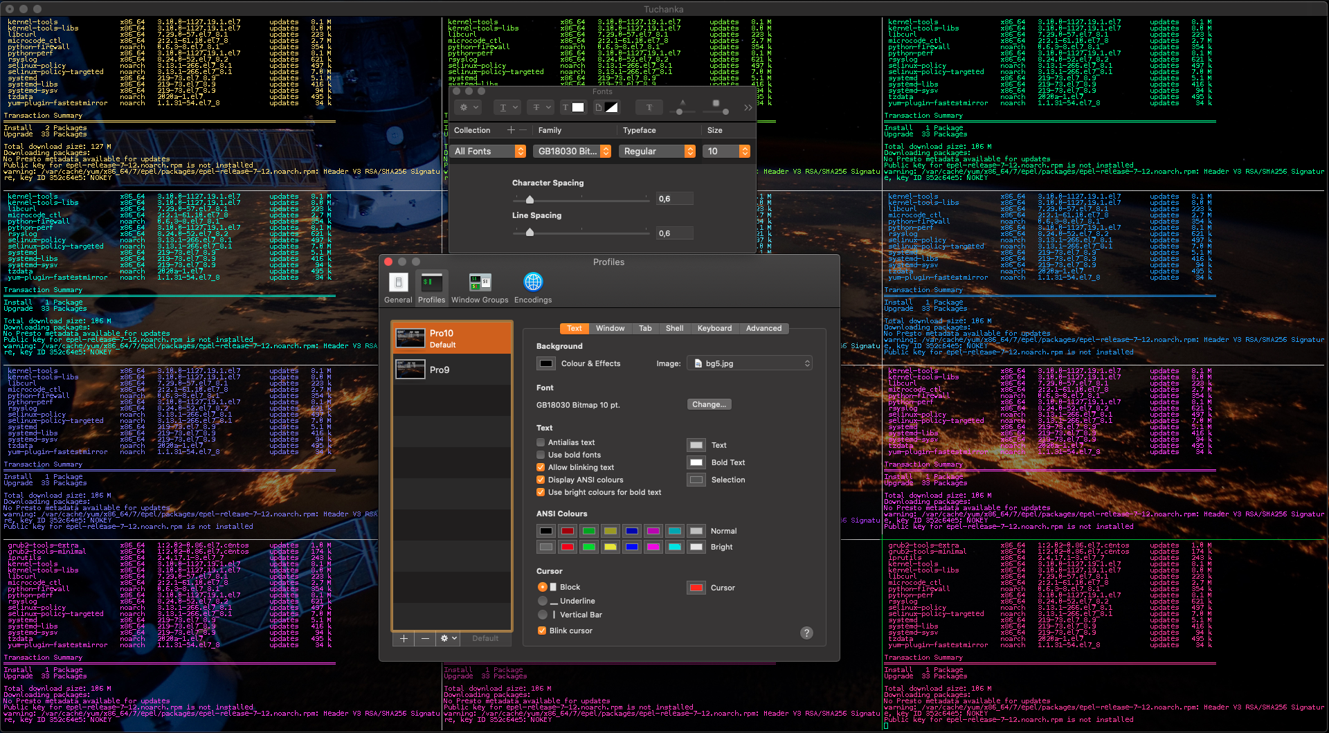 screenshot of a terminal setup