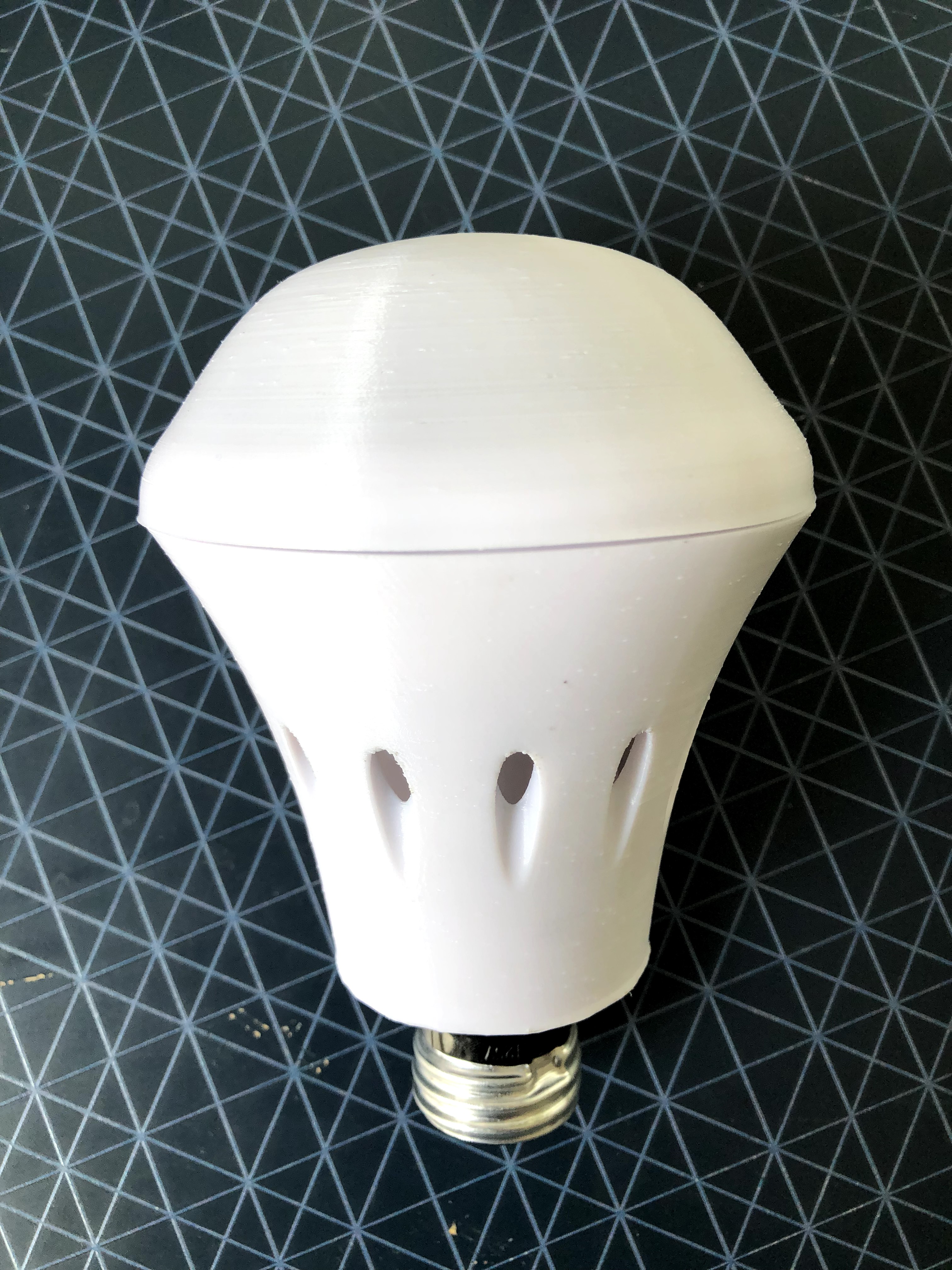 Bulb