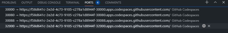 Codespace Ports