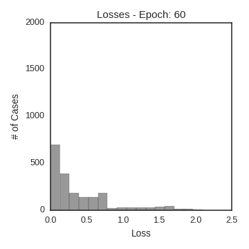 Loss Histogram