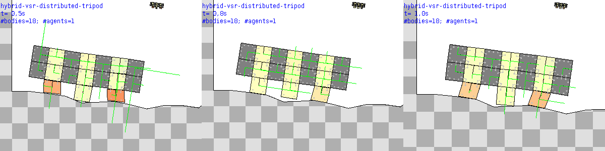 Distributed worm VSR