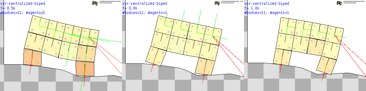 Centralized biped VSR