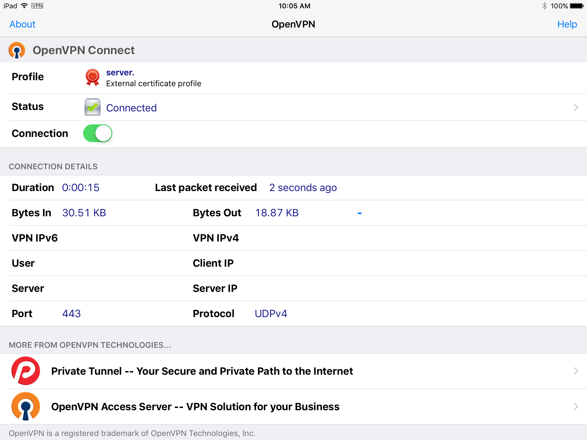 OpenVPN iPad