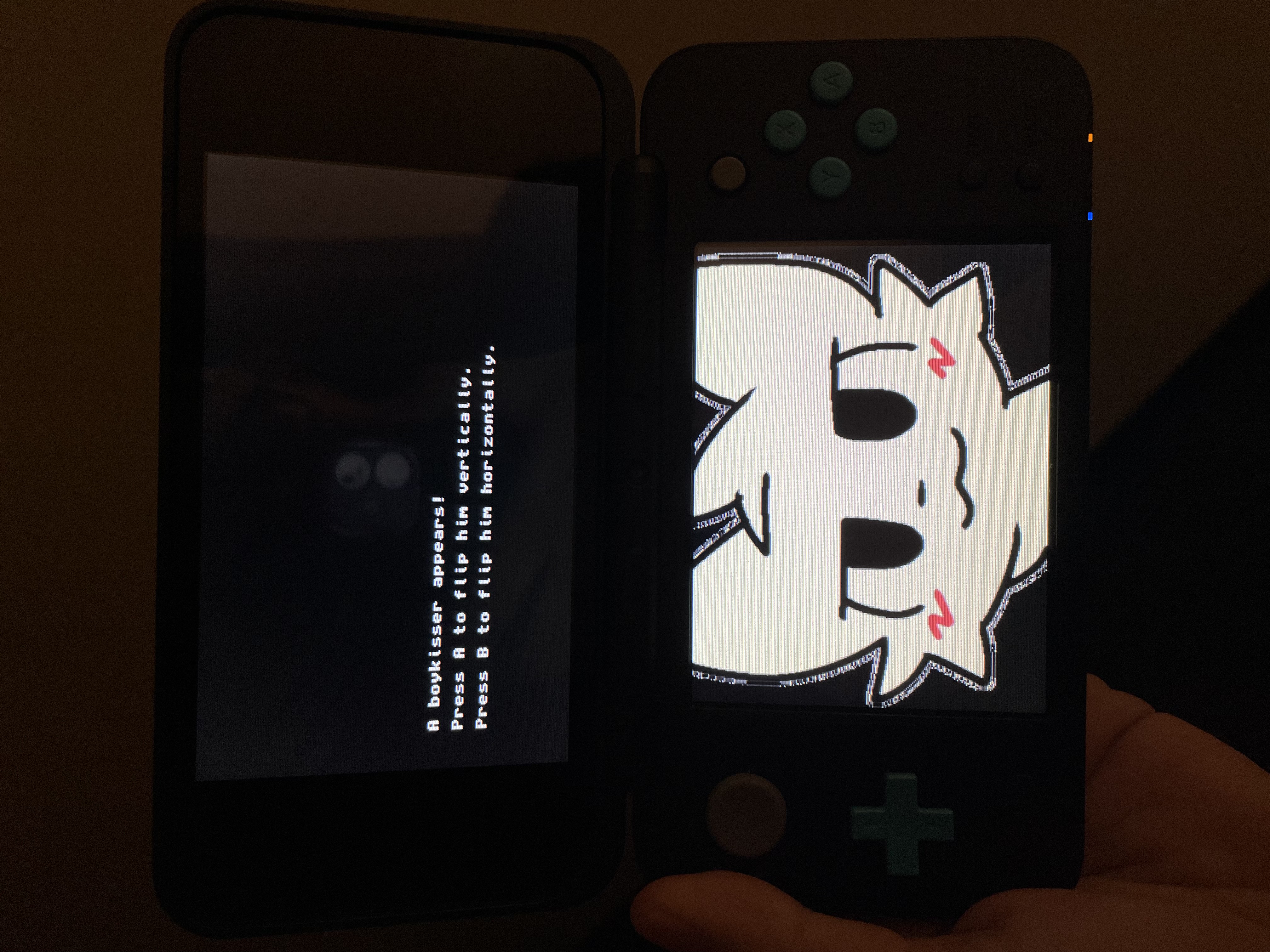 A picture of this program running on a 3ds.