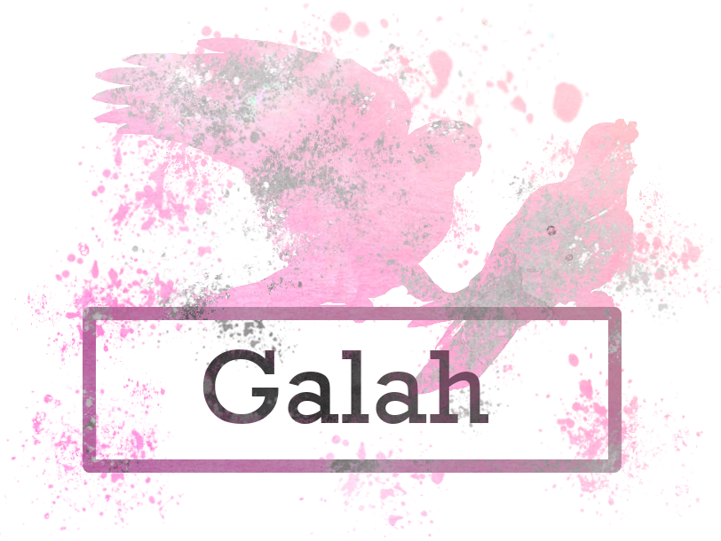 Galah logo