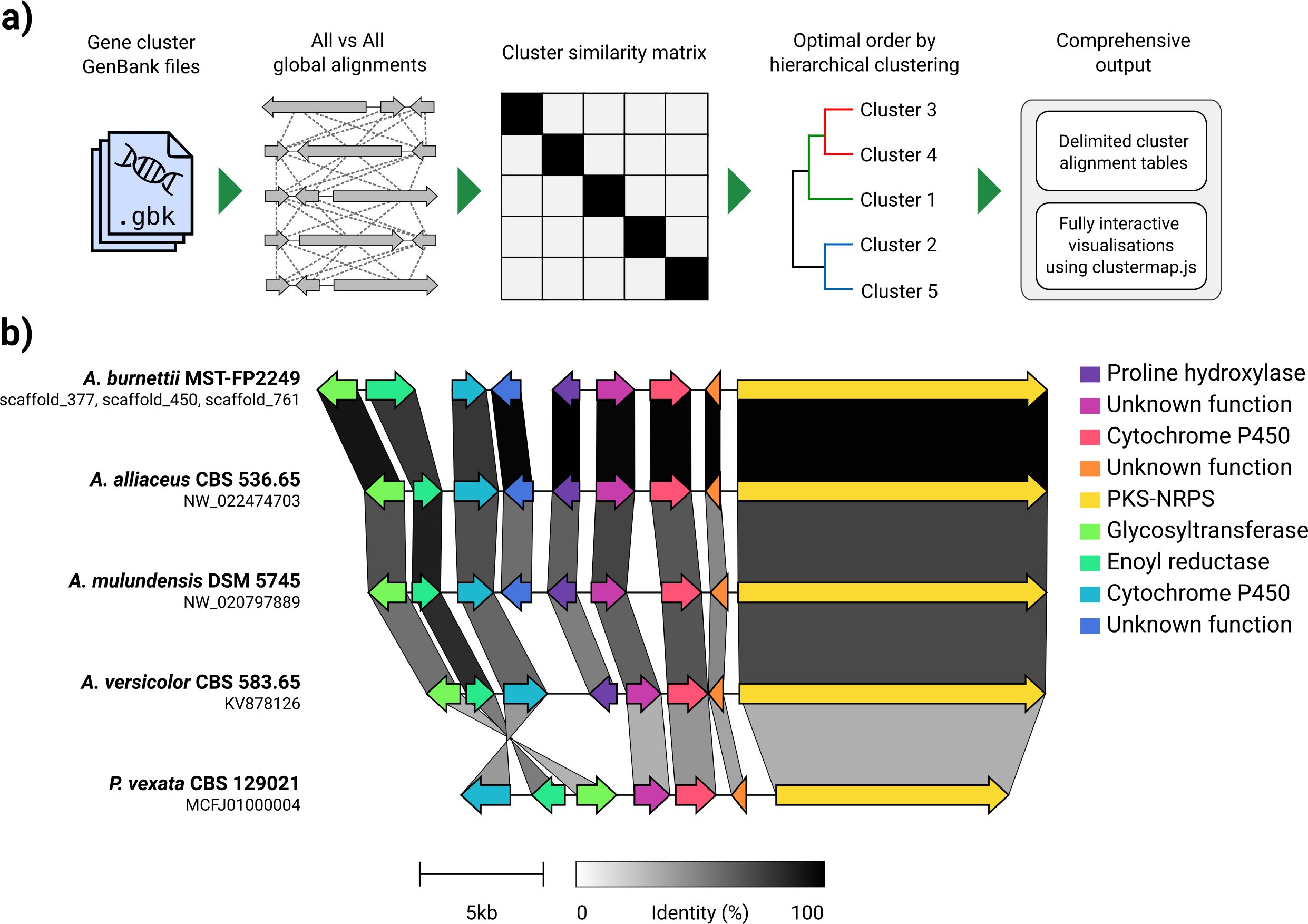 bua cluster and homologues