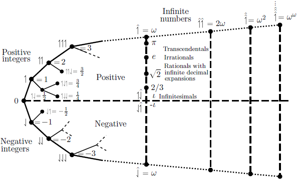 surreal numbers