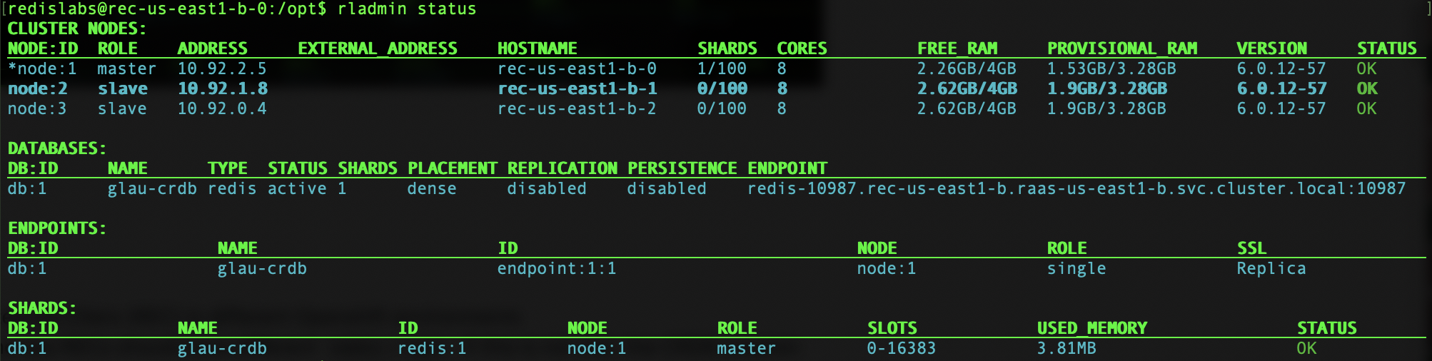 rladmin status 2