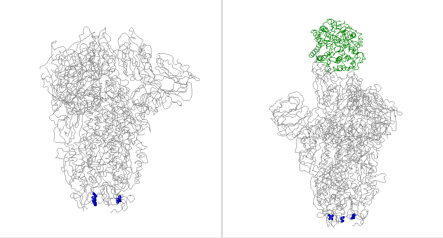 Figure of S:V1122L