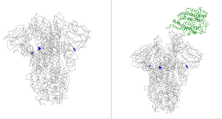 Figure of S:A626S