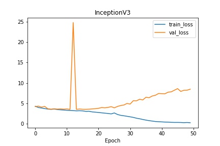 log inceptionv3