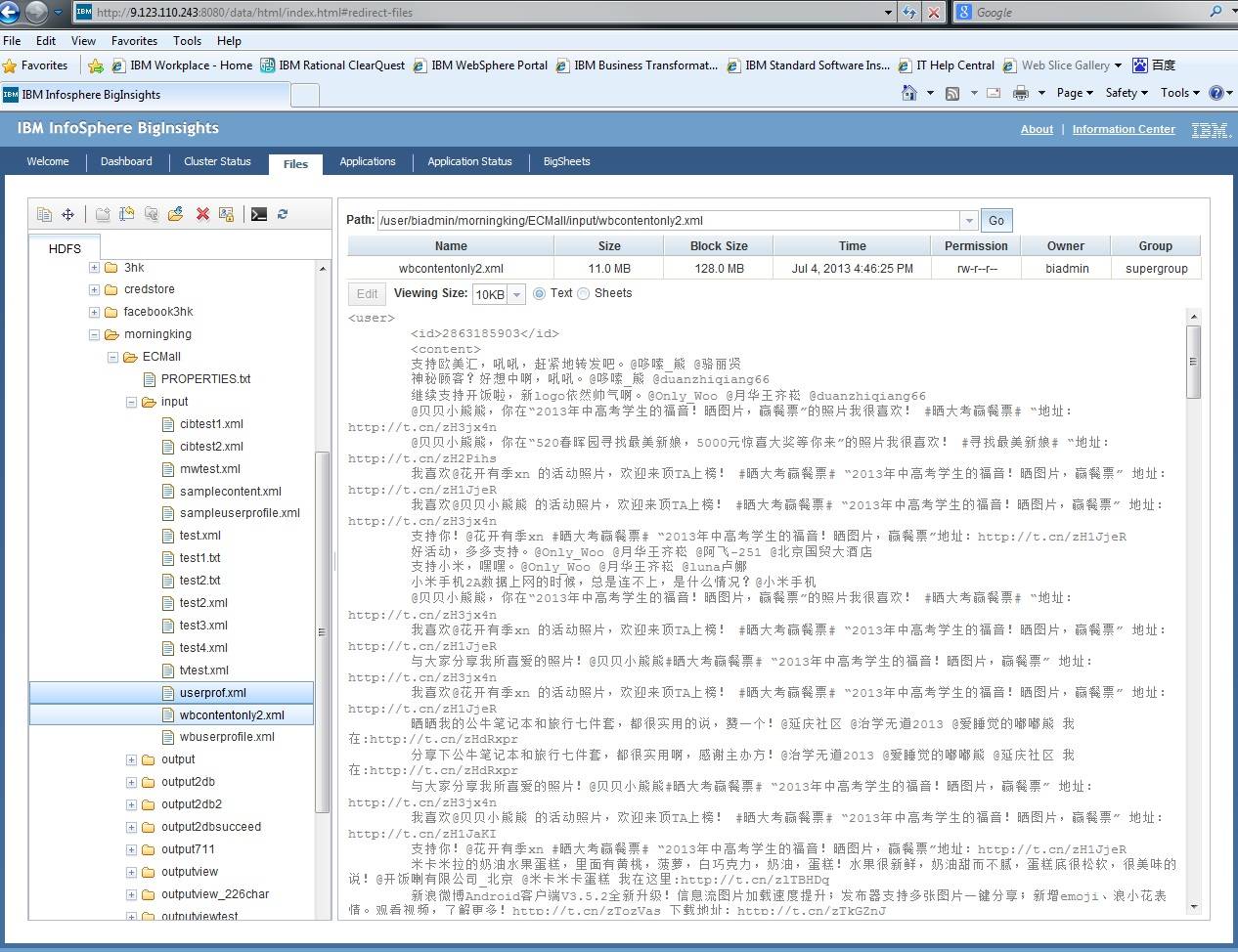 图 5. BigInsights 查看 input 内容：