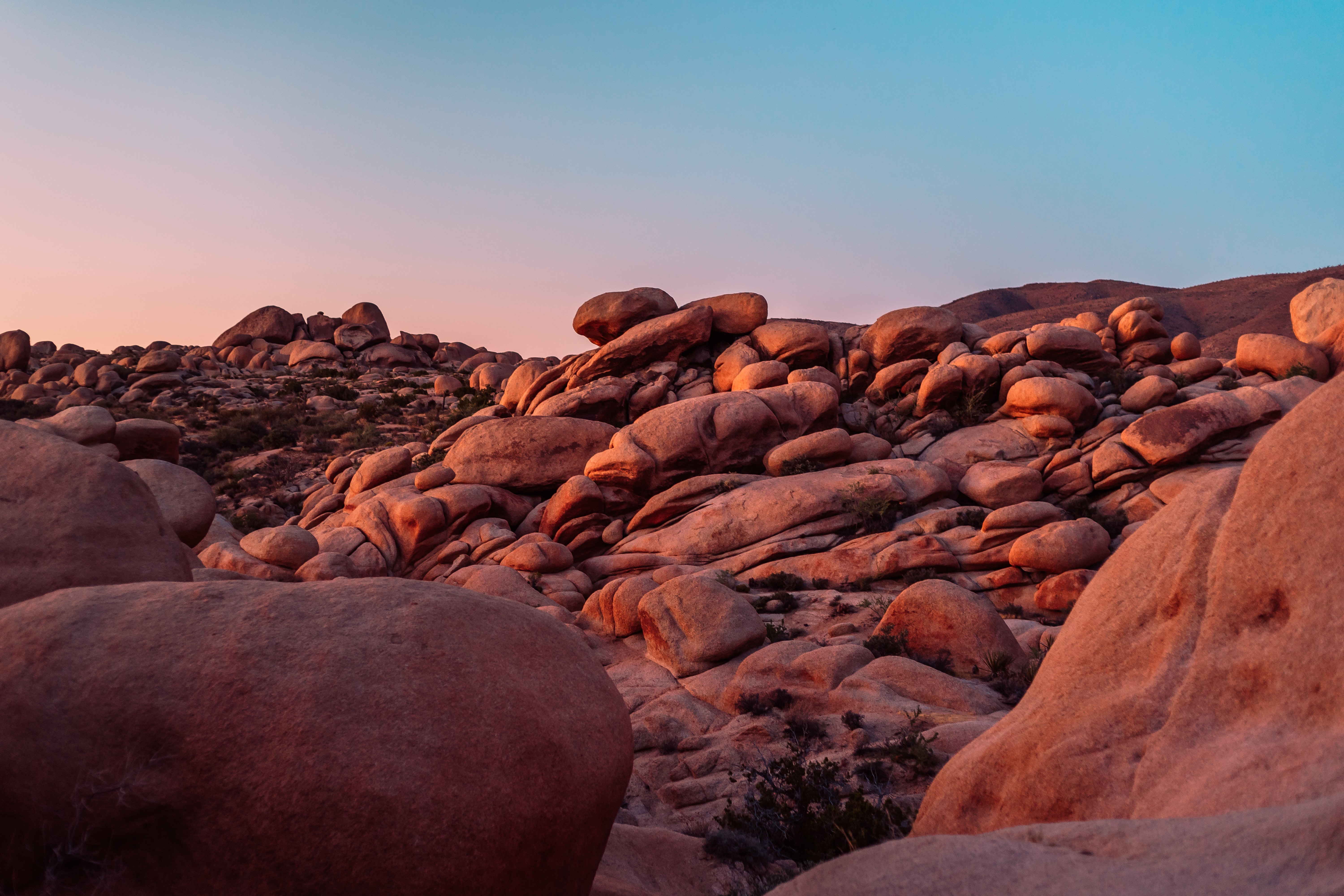 joshua_tree_california_alex_kramar