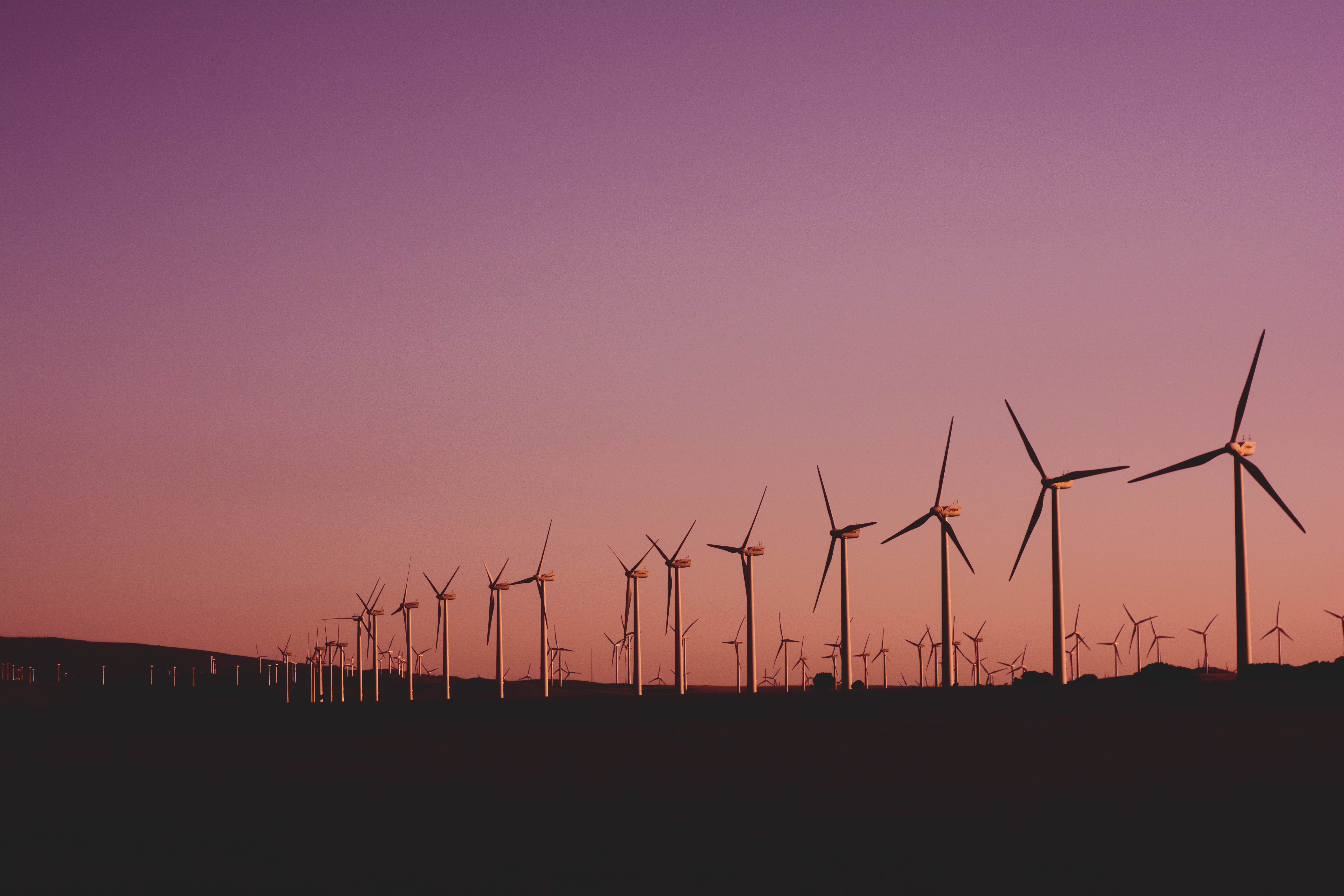 a_group_of_windmills_in_a_field