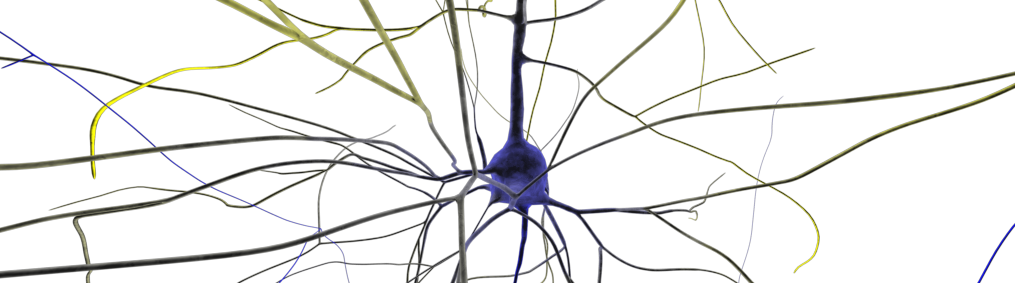 RTNeuron